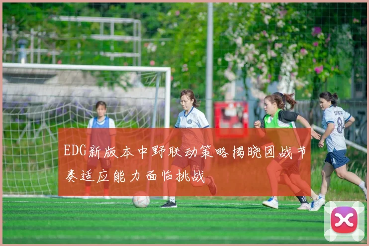 EDG新版本中野联动策略揭晓团战节奏适应能力面临挑战