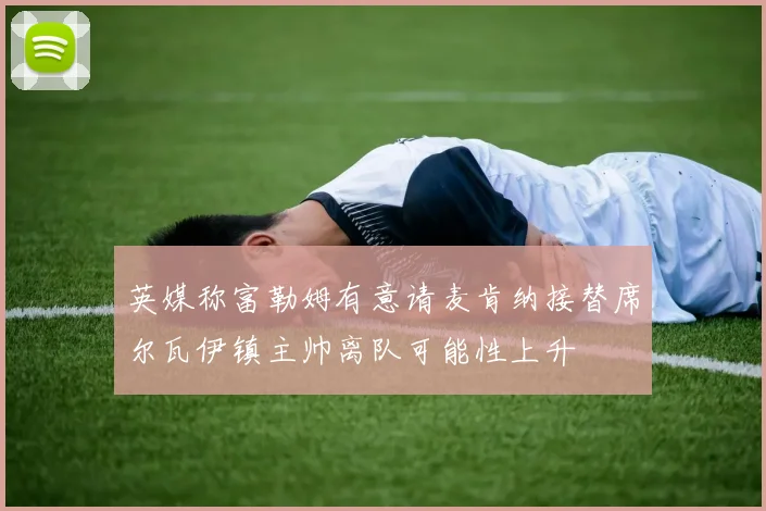 英媒称富勒姆有意请麦肯纳接替席尔瓦伊镇主帅离队可能性上升